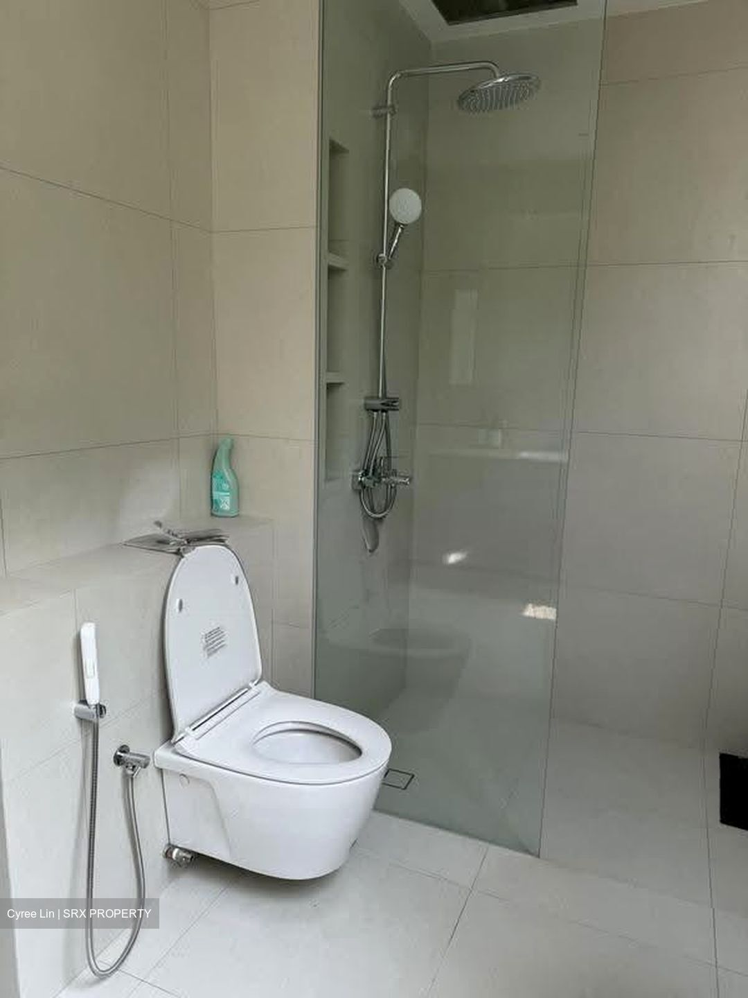 The Balmoral (D10), Condominium #616838921